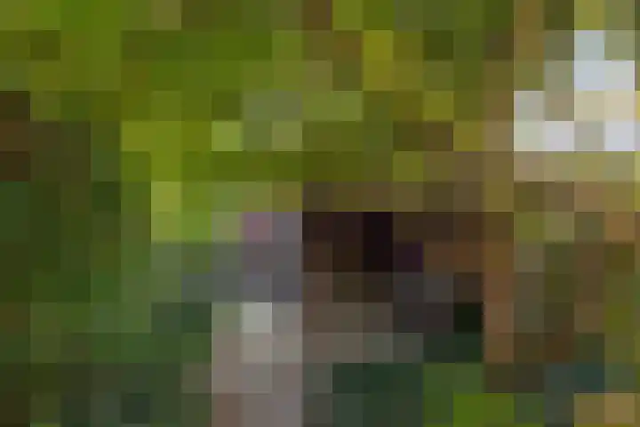 Steenvoordelaan 9 a Rijswijk thumbnail 15