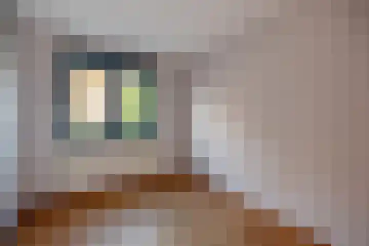 Steenvoordelaan 9 a Rijswijk thumbnail 22