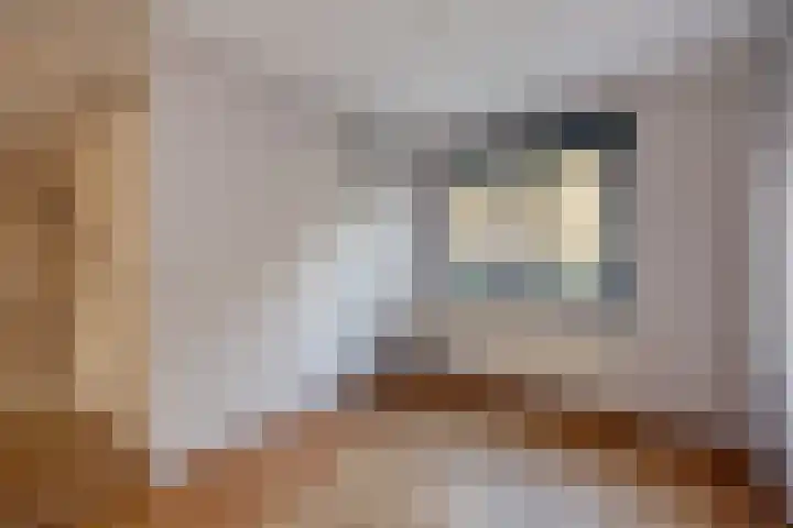 Steenvoordelaan 9 a Rijswijk thumbnail 23