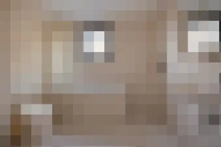 Steenvoordelaan 9 a Rijswijk thumbnail 27