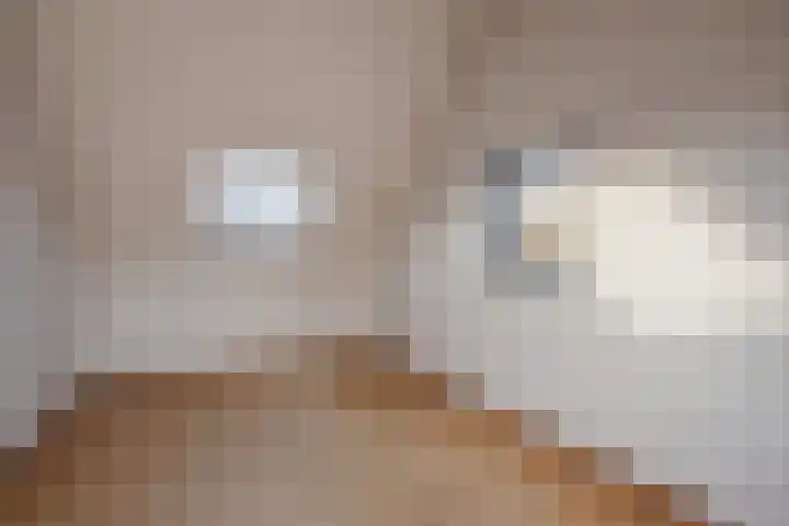Steenvoordelaan 9 a Rijswijk thumbnail 31
