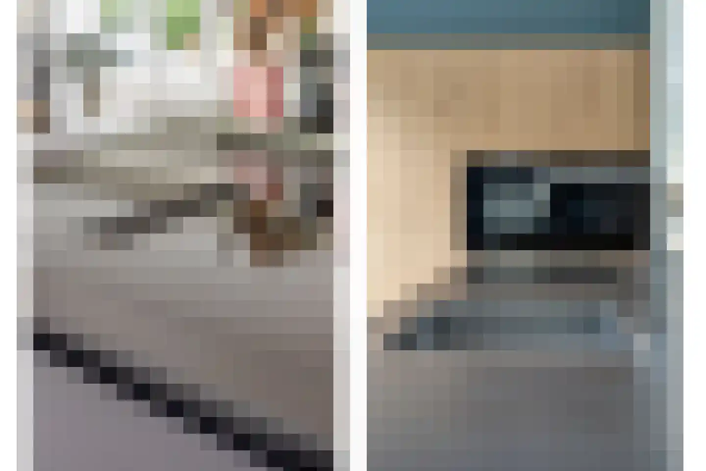 Steenvoortseweg 2 a Heerde thumbnail 12