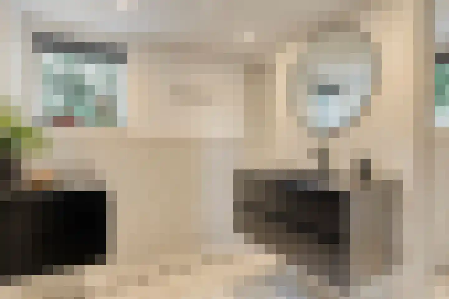 Steenvoortseweg 2 a Heerde thumbnail 18