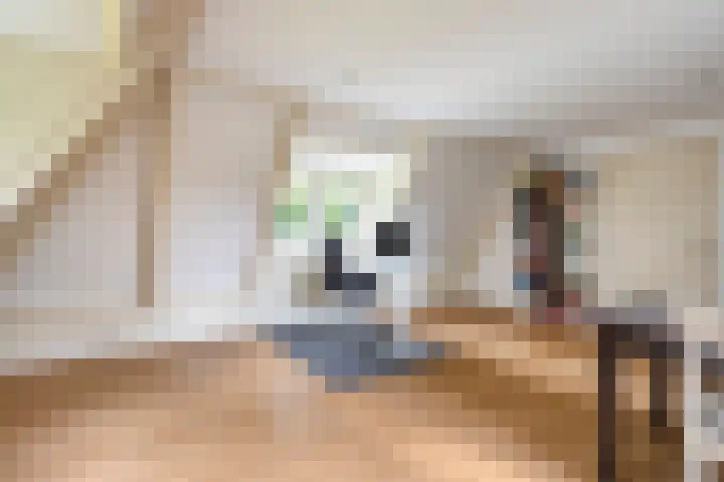 Steenvoortseweg 2 a Heerde thumbnail 26