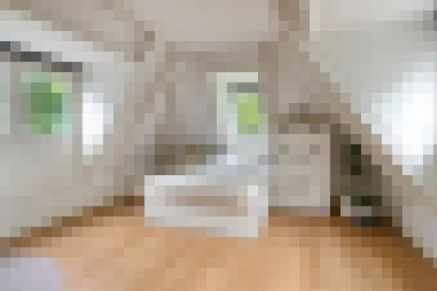 Steenvoortseweg 2 a Heerde thumbnail 34