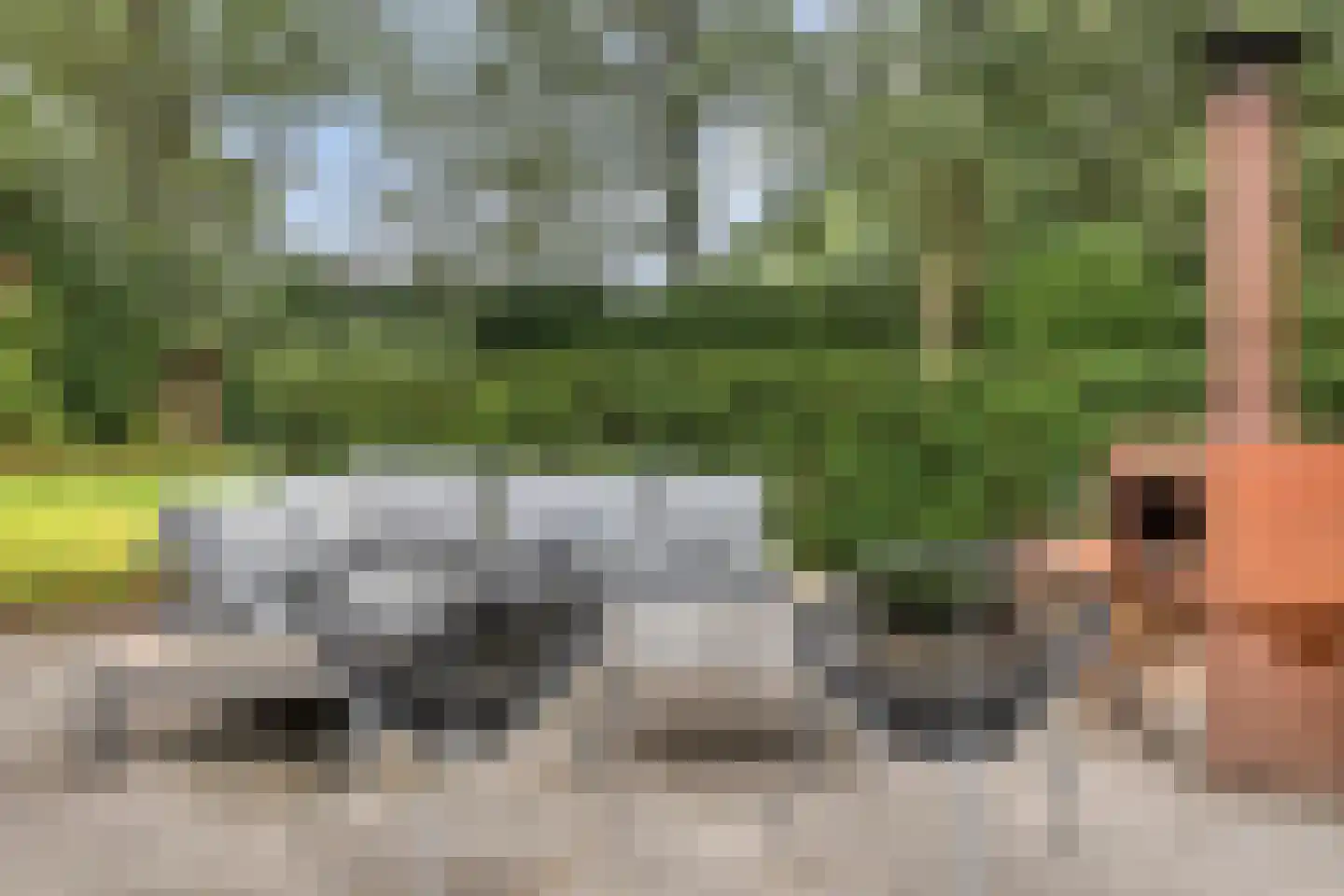 Steenvoortseweg 2 a Heerde thumbnail 38