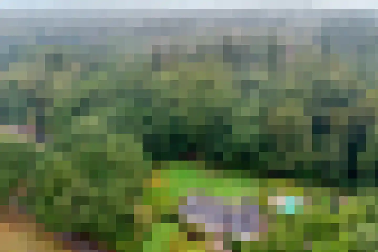 Steenvoortseweg 2 a Heerde thumbnail 4