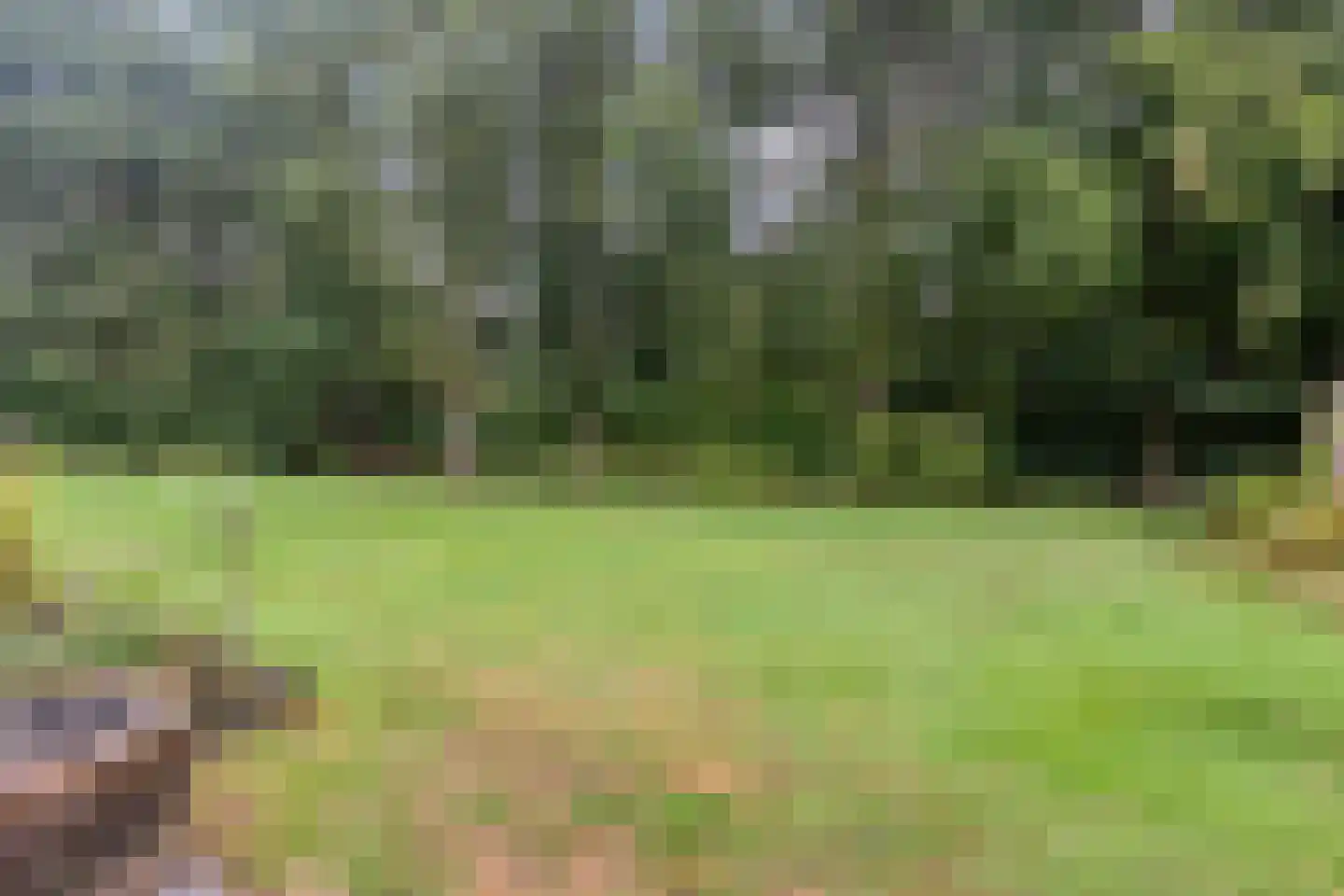 Steenvoortseweg 2 a Heerde thumbnail 40