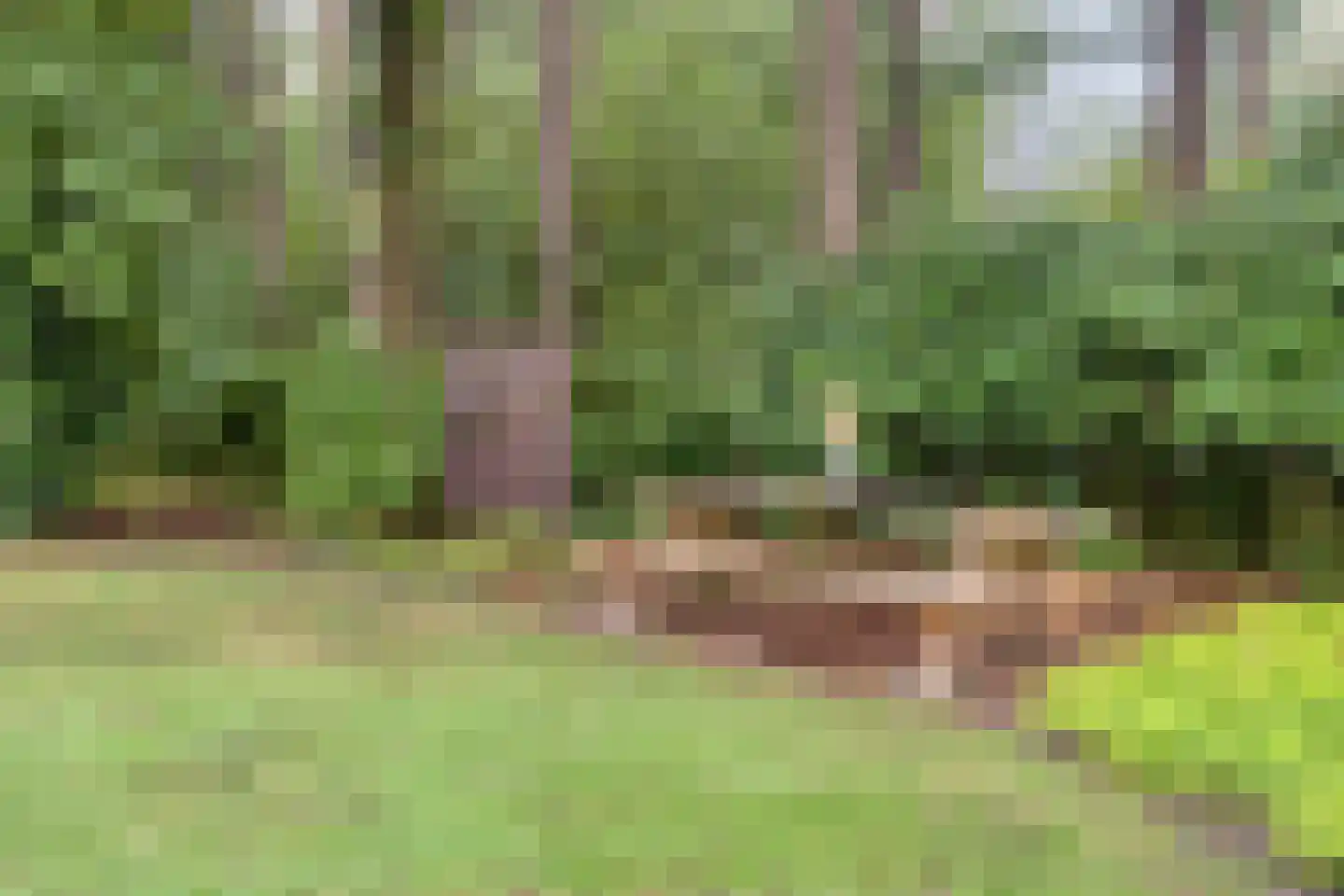 Steenvoortseweg 2 a Heerde thumbnail 42
