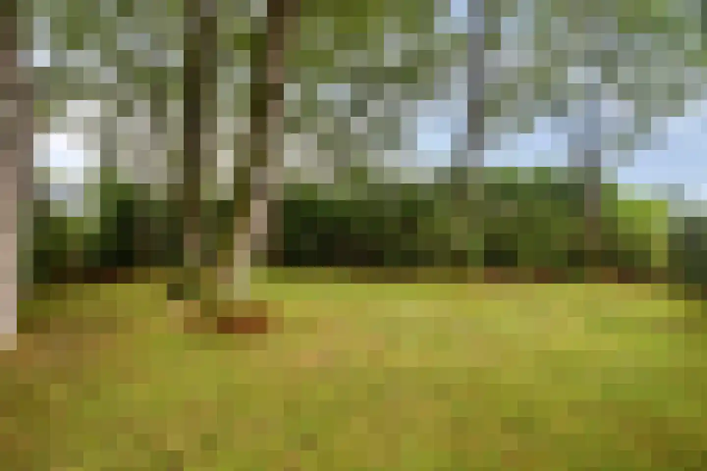Steenvoortseweg 2 a Heerde thumbnail 43