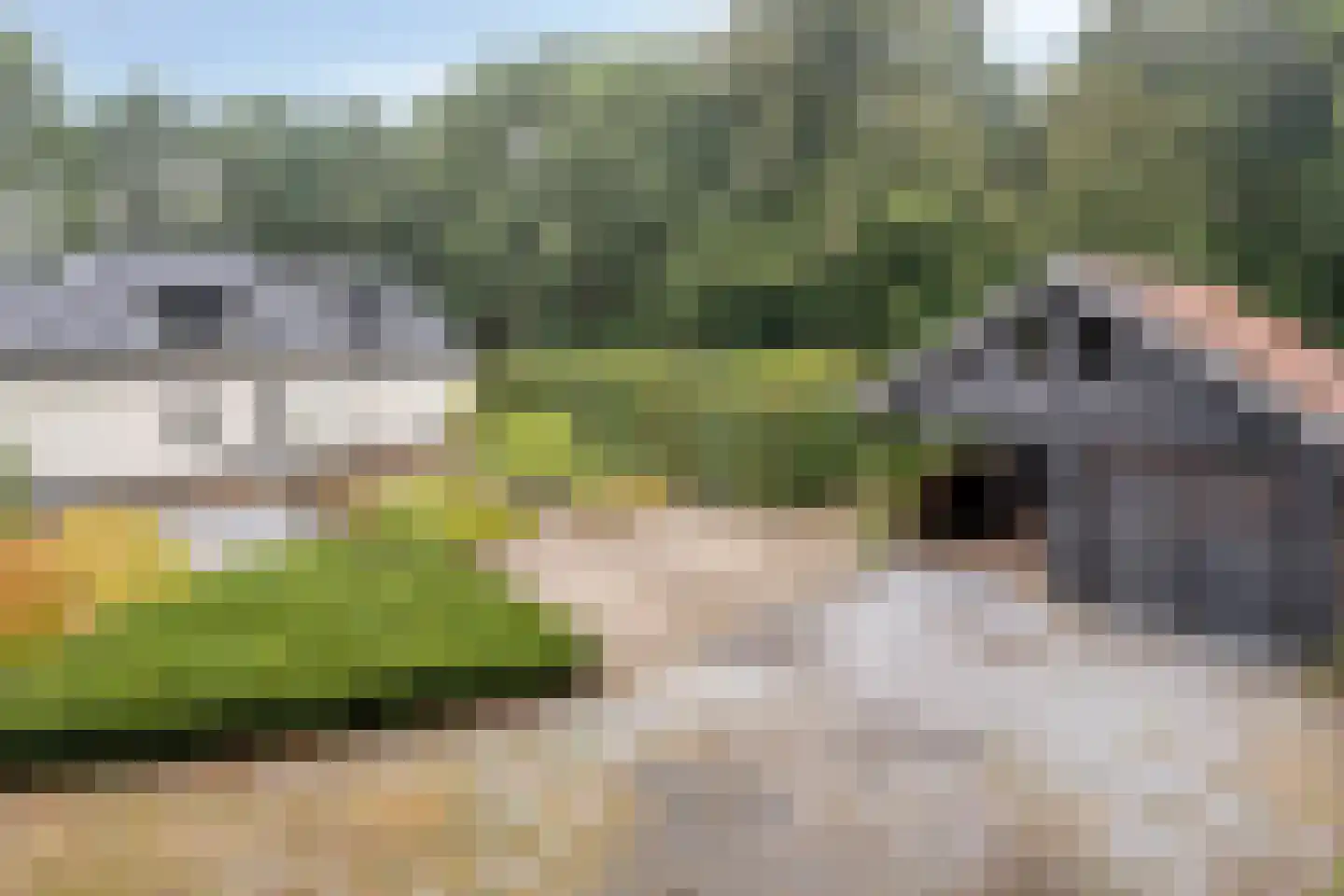 Steenvoortseweg 2 a Heerde thumbnail 48