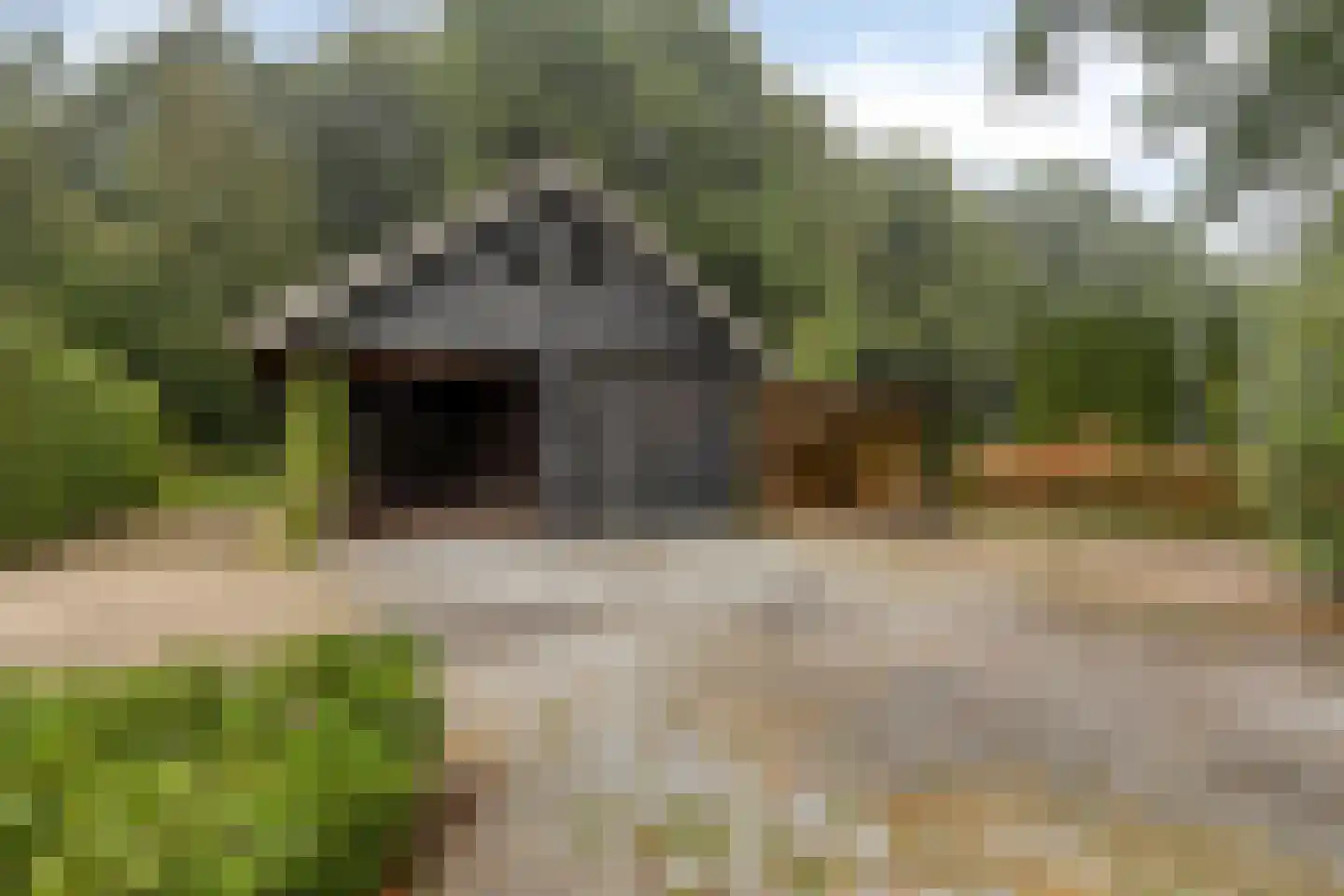 Steenvoortseweg 2 a Heerde thumbnail 49