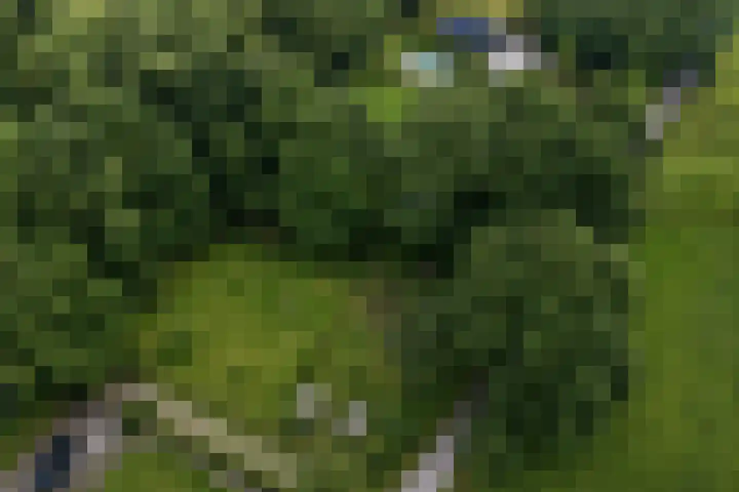 Steenvoortseweg 2 a Heerde thumbnail 51