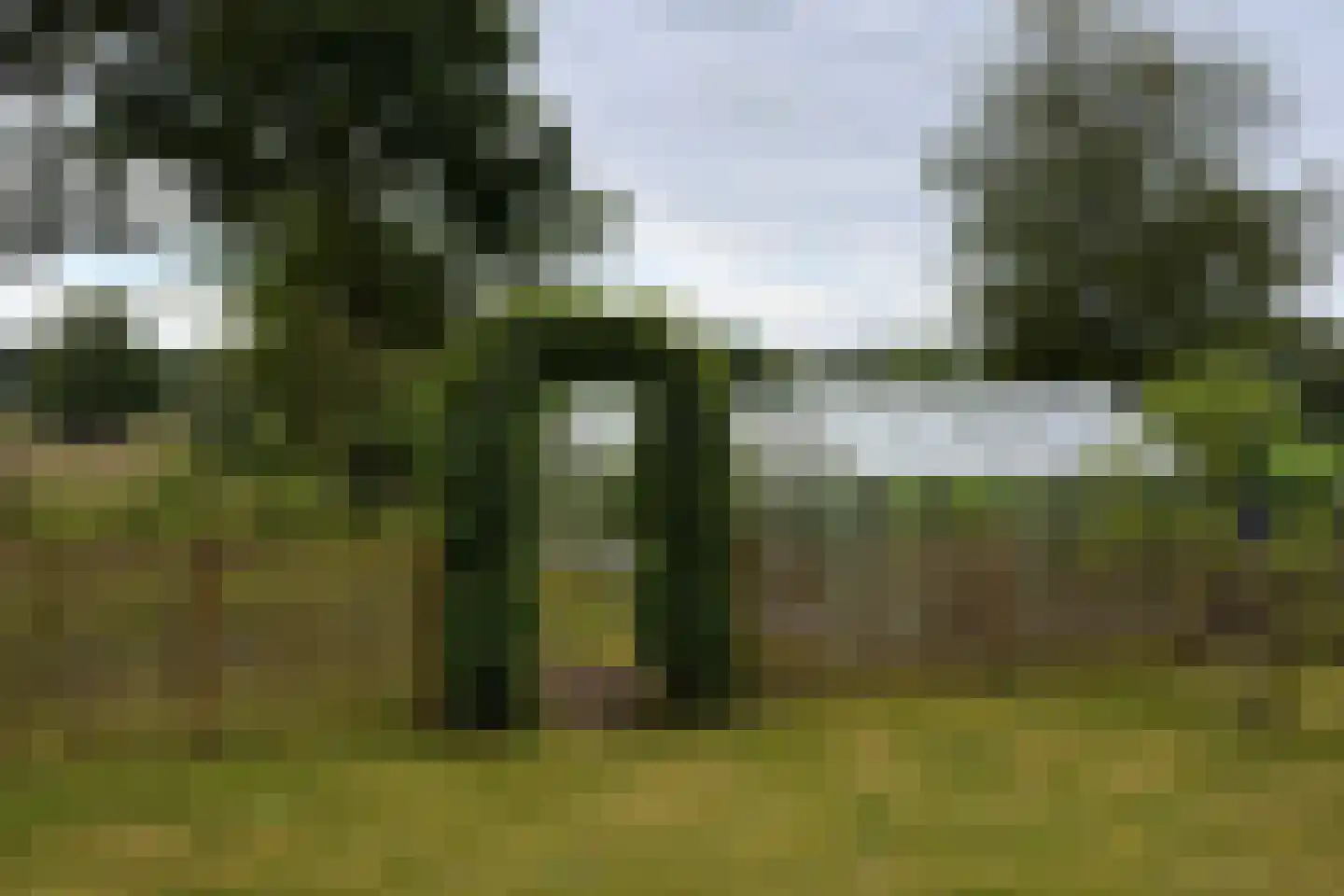 Steenvoortseweg 2 a Heerde thumbnail 53