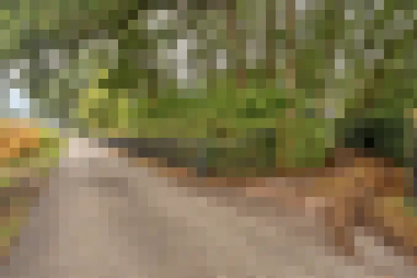 Steenvoortseweg 2 a Heerde thumbnail 55