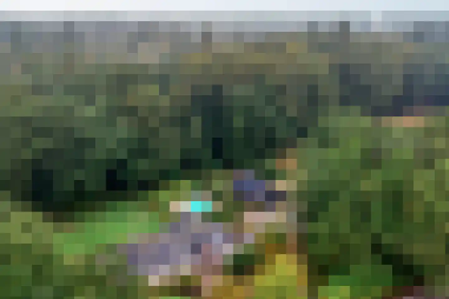 Steenvoortseweg 2 a Heerde thumbnail 59