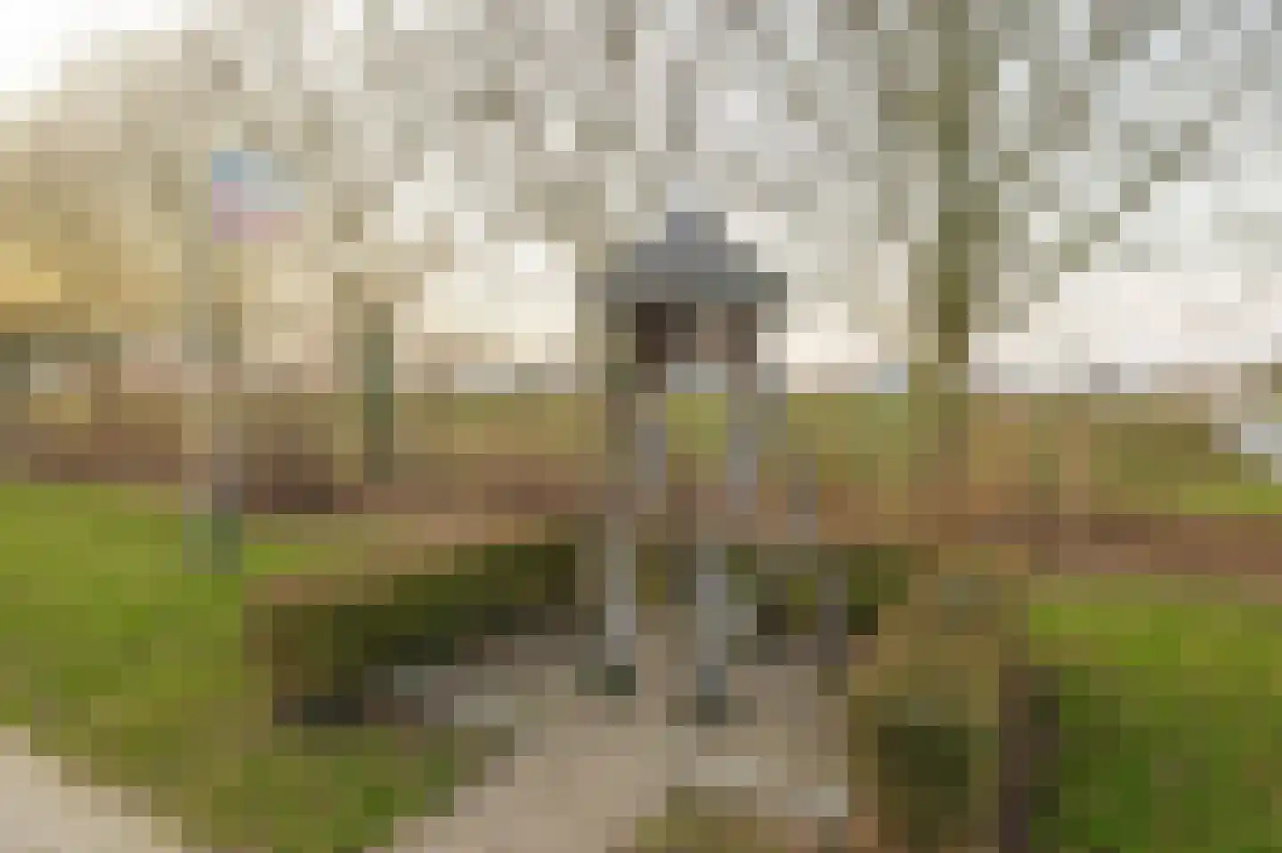 Steenweg 109 Moerdijk thumbnail 49
