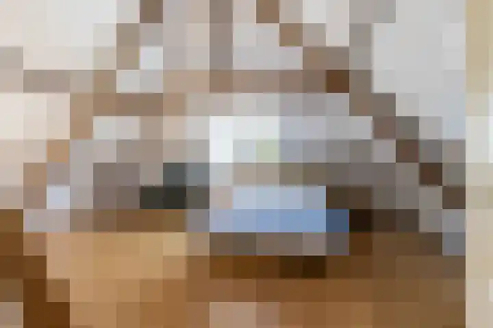 Steenweg 11 Waardenburg thumbnail 33