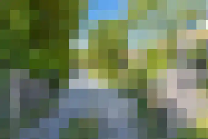 Steenweg 11 Waardenburg thumbnail 36