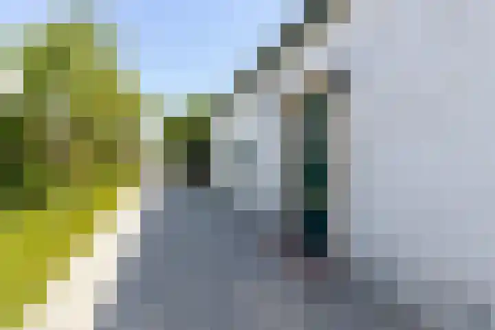 Steenweg 11 Waardenburg thumbnail 40