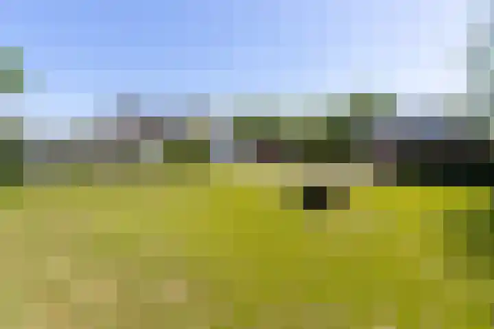 Steenweg 11 Waardenburg thumbnail 43