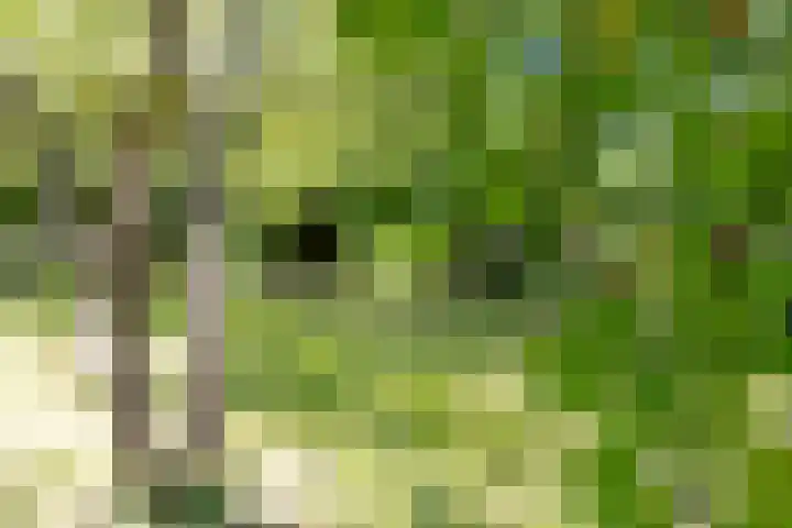 Steenweg 11 Waardenburg thumbnail 44