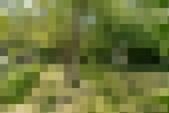 Steenweg 11 Waardenburg thumbnail 45