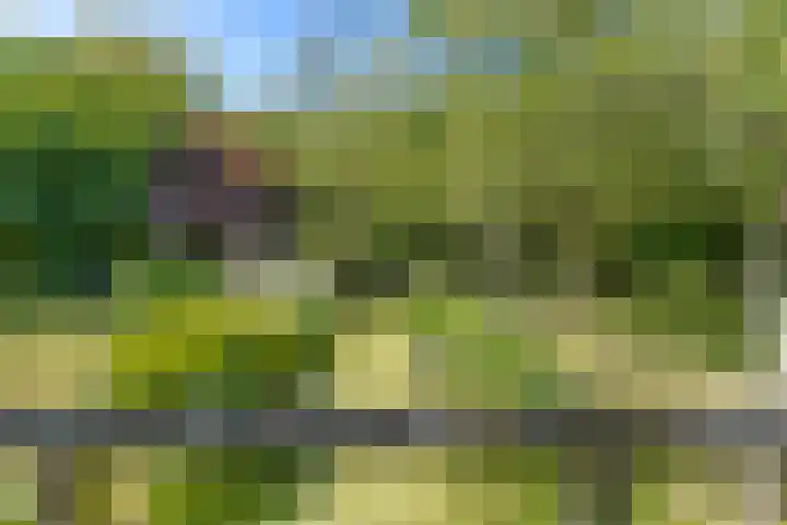 Steenweg 11 Waardenburg thumbnail 46