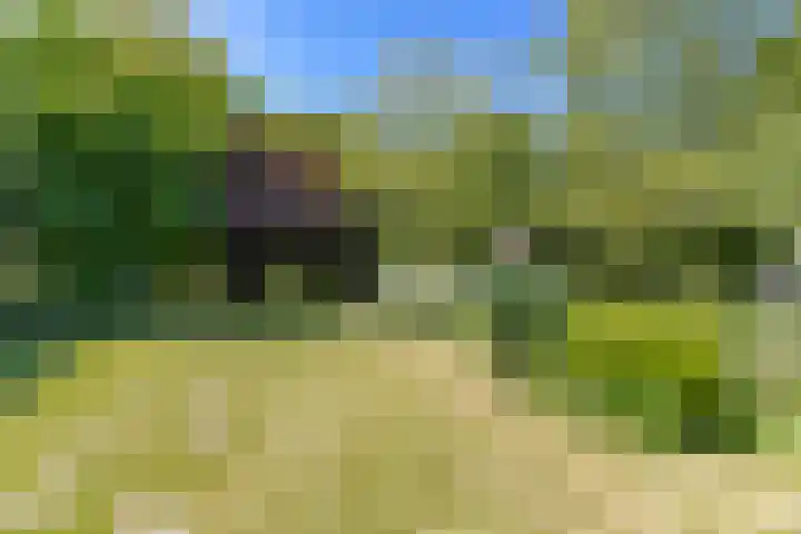 Steenweg 11 Waardenburg thumbnail 47