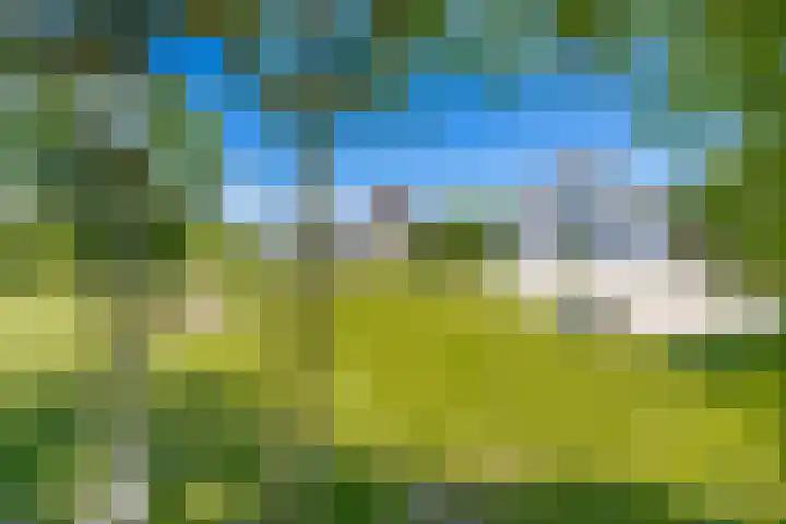 Steenweg 11 Waardenburg thumbnail 48