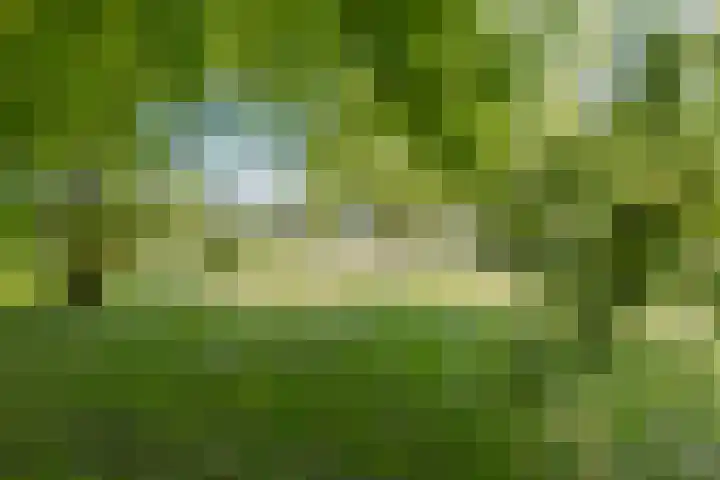 Steenweg 11 Waardenburg thumbnail 49