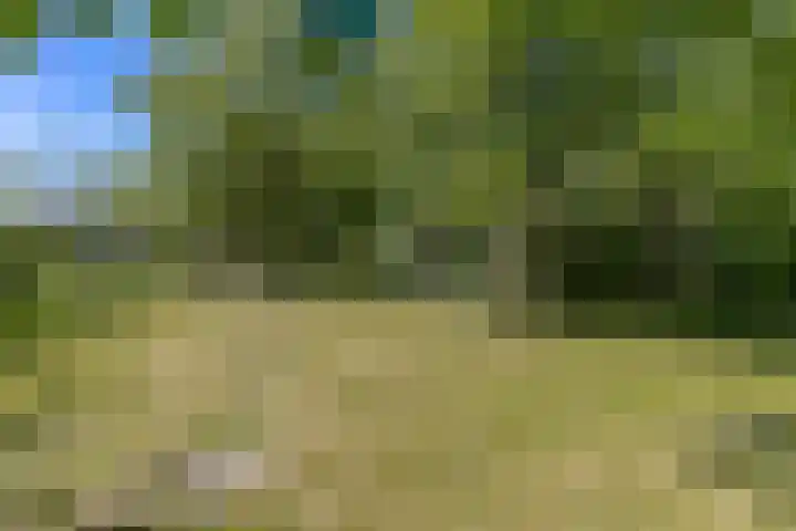Steenweg 11 Waardenburg thumbnail 50