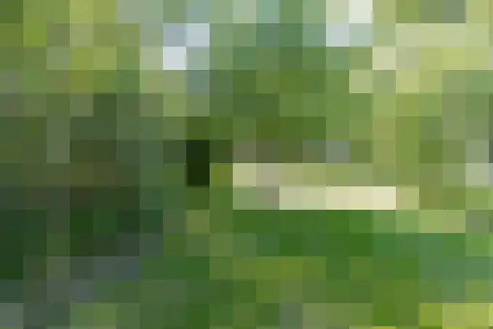 Steenweg 11 Waardenburg thumbnail 51