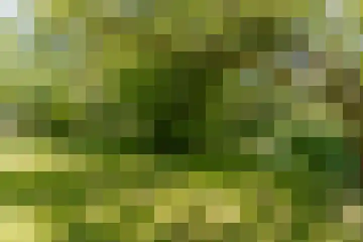 Steenweg 11 Waardenburg thumbnail 52