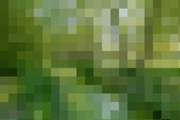 Steenweg 11 Waardenburg thumbnail 53