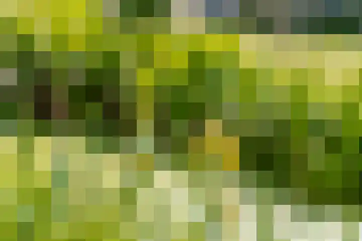 Steenweg 11 Waardenburg thumbnail 54