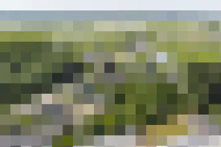 Steenweg 11 Waardenburg thumbnail 58