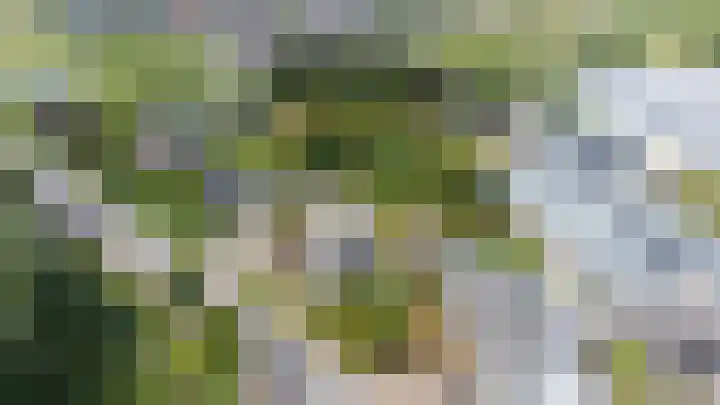 Steenweg 11 Waardenburg thumbnail 60
