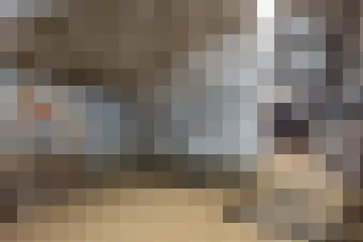 Steenweg 13 Sittard thumbnail 17