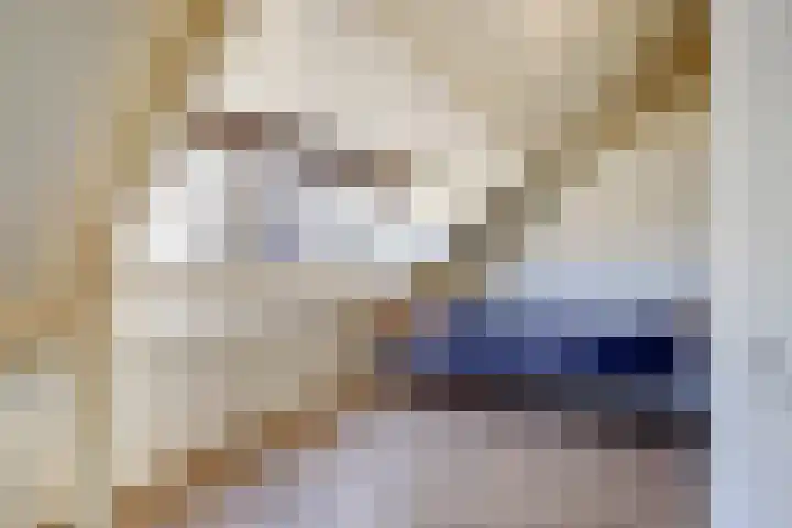 Steenweg 16 A Utrecht thumbnail 13