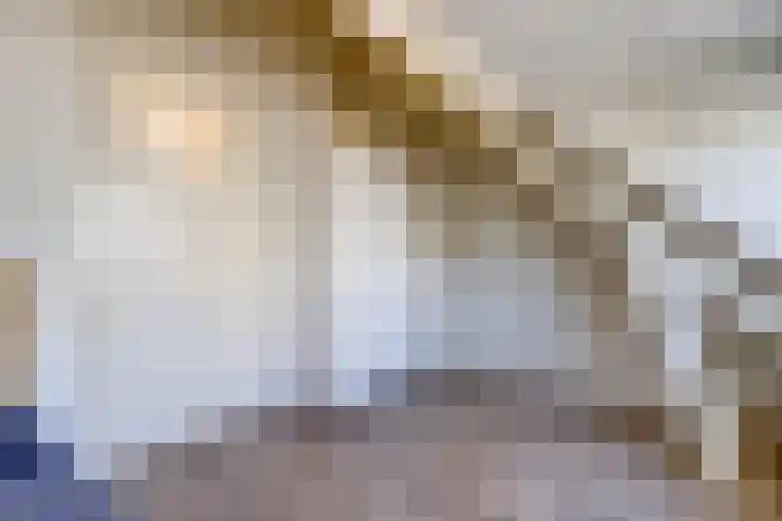 Steenweg 16 A Utrecht thumbnail 14