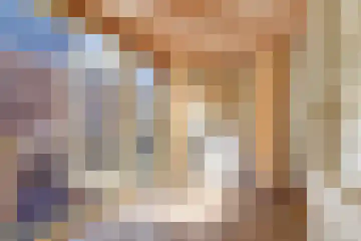 Steenweg 16 A Utrecht thumbnail 17