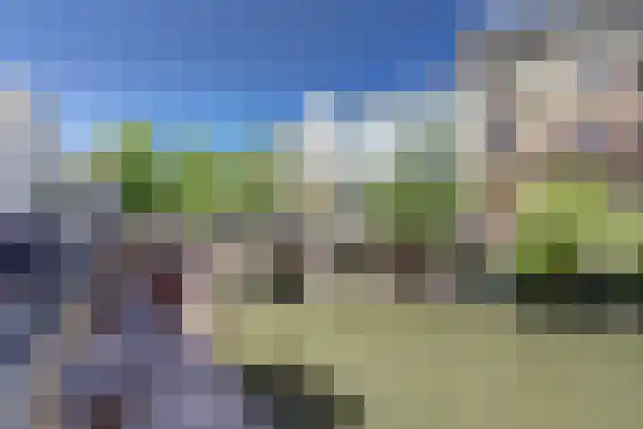 Steenweg 16 A Utrecht thumbnail 21