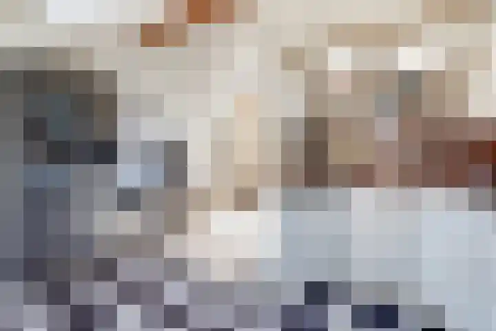 Steenweg 16 A Utrecht thumbnail 6
