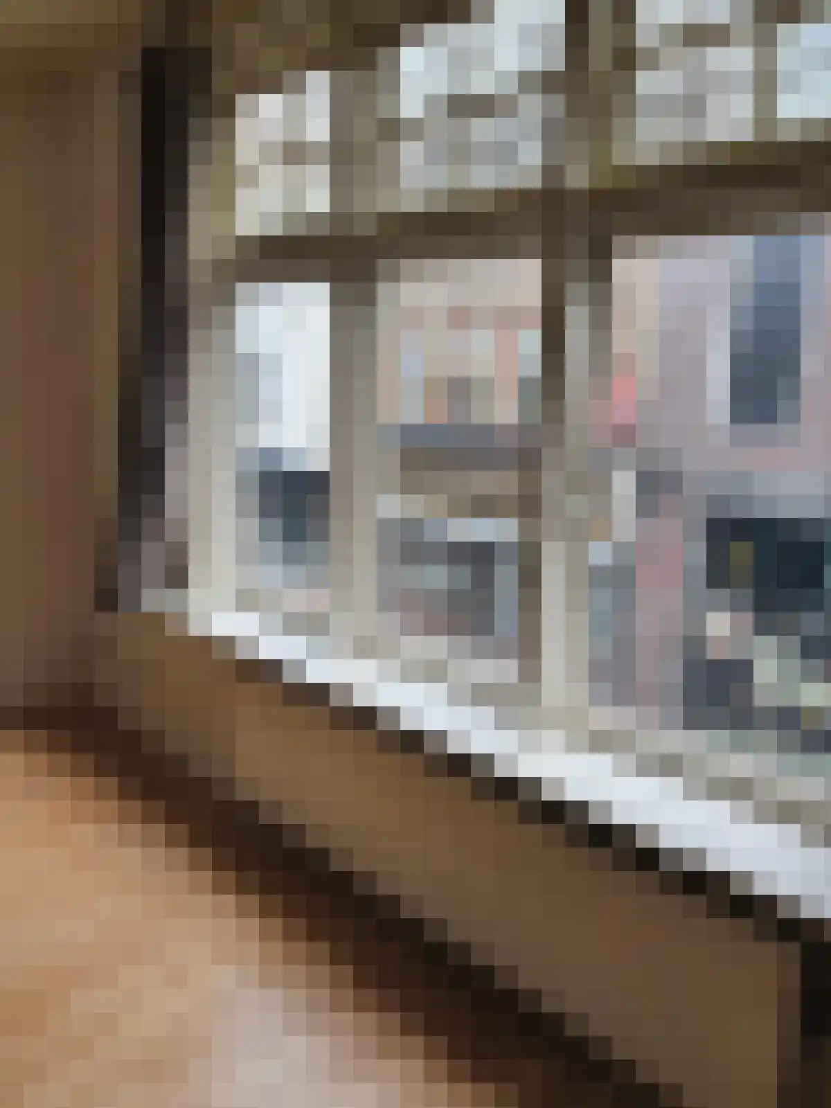 Steenweg 16 Utrecht thumbnail 6