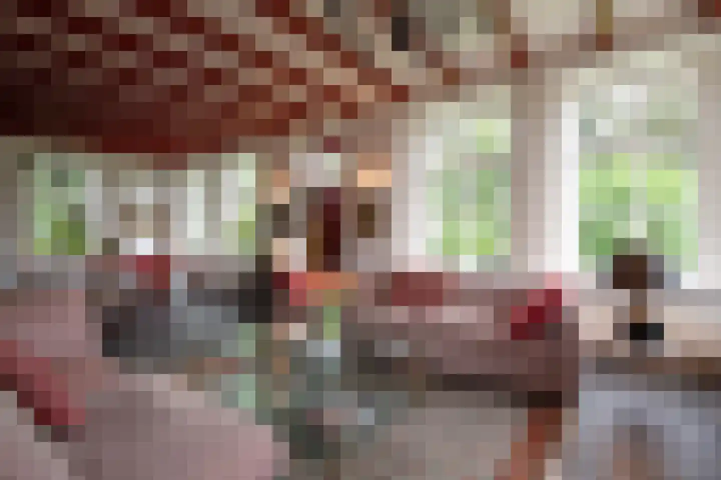 Steenweg 2 Haaften thumbnail 11