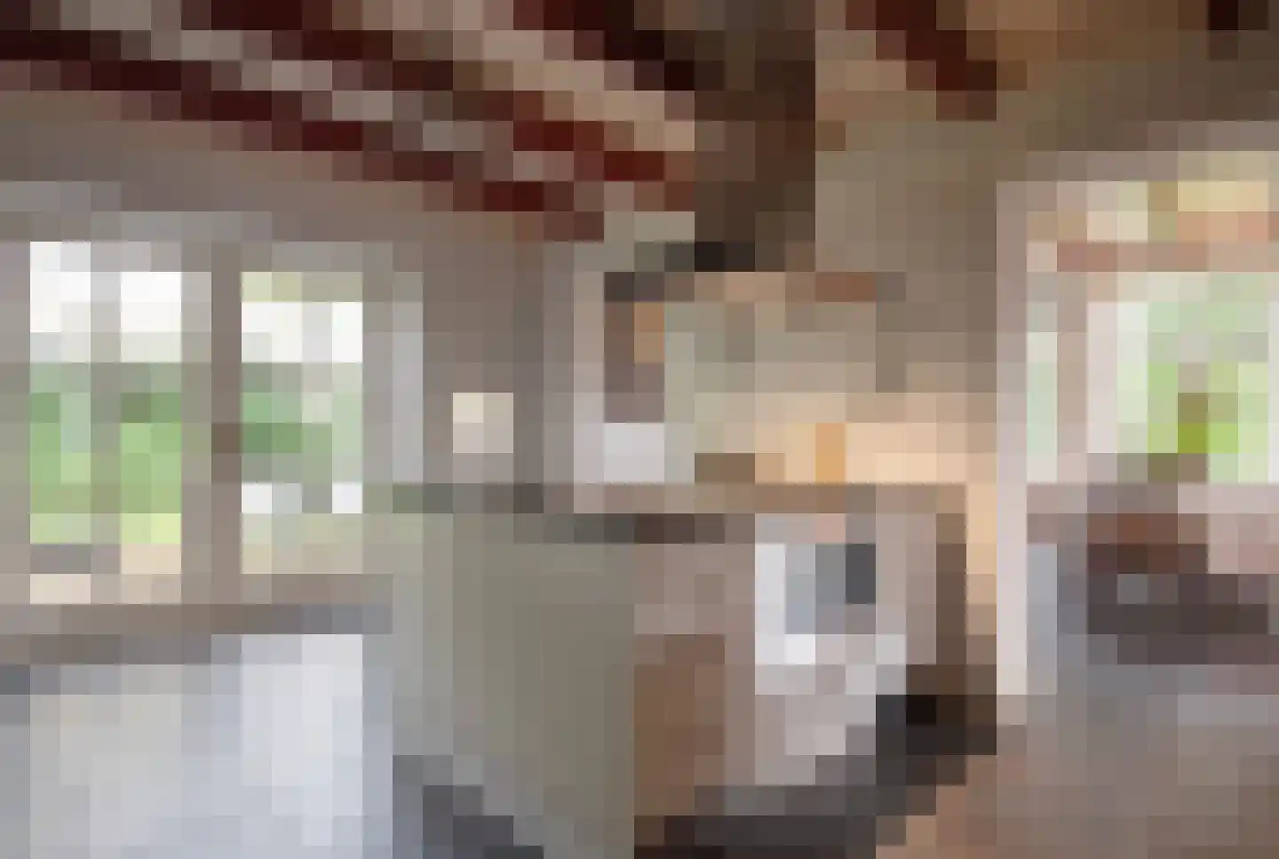 Steenweg 2 Haaften thumbnail 14