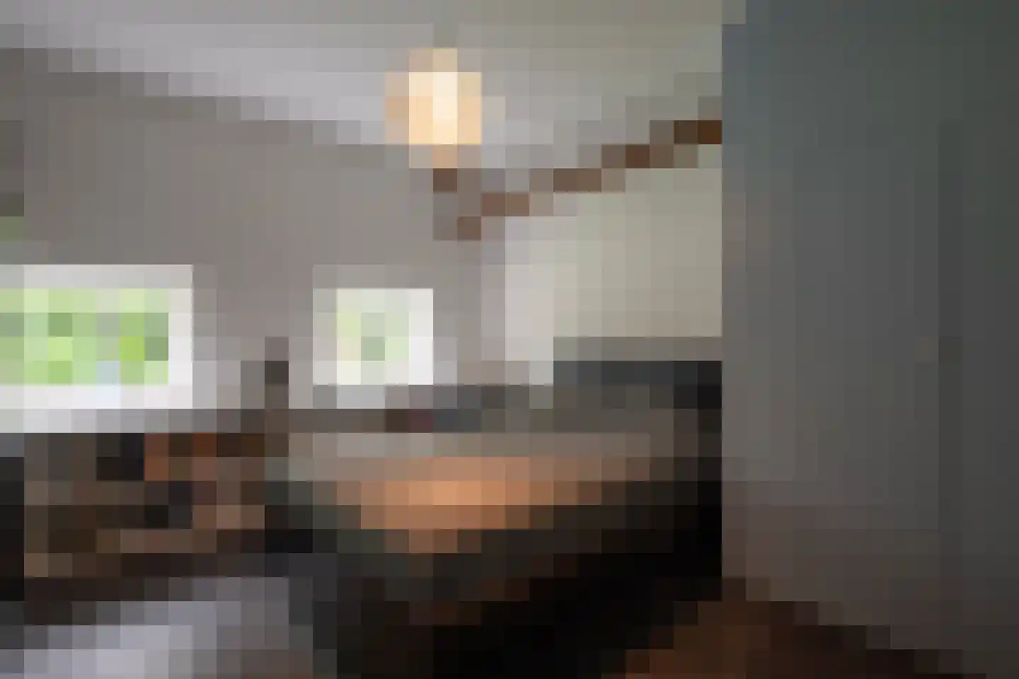 Steenweg 2 Haaften thumbnail 23