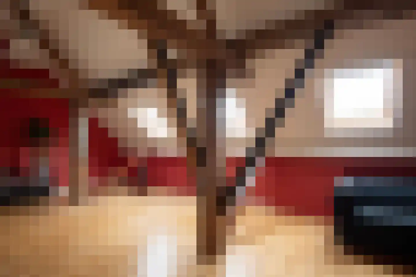 Steenweg 2 Haaften thumbnail 25