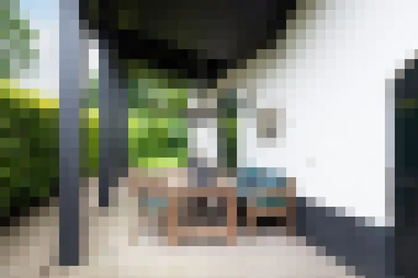 Steenweg 2 Haaften thumbnail 37